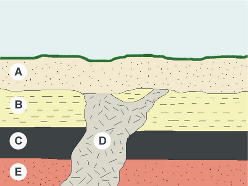 relative age of rock layers