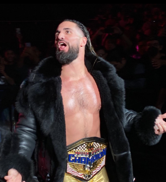 File:SethFreakinRollinsUnitedstatesChampion.png