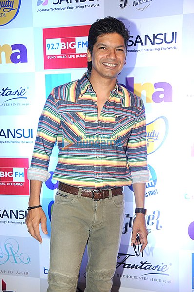 Shaan at Music Mania in 2013