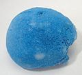 Shattuckite