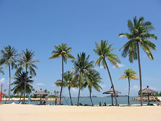 File:Siloso Beach 15, Sentosa, Aug 06.JPG - Wikipedia