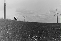 Slachtedijk bij windmolenpark De Bjirmen