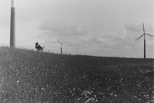 [Afbeelding: 512px-Slachtedijk_bij_windmolenpark_De_Bjirmen.jpg]