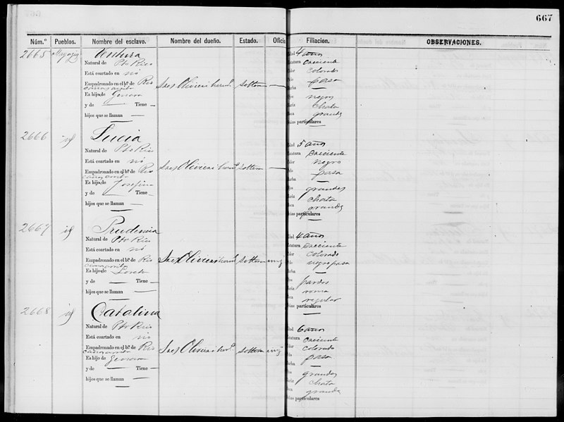 File:Slave Schedules for District 4, Mayaguez(...) - NARA - 63811126 (page 250).jpg