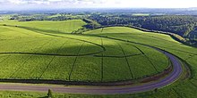 Part of Sotik Tea Highlands, annexed from the Kipsigis in early 1900's Sotik Tea Farms.jpg