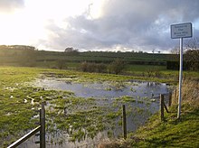 Source of the River Wey Source of the River Wey - geograph.org.uk - 370191.jpg