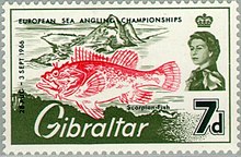 Stamp of Gibraltar - 1966 - Colnect 212 - 1 - Red Scorpionfish Scorpaena scrofa.jpeg