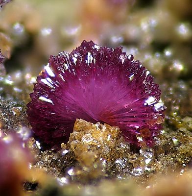 Strengite-114917.jpg