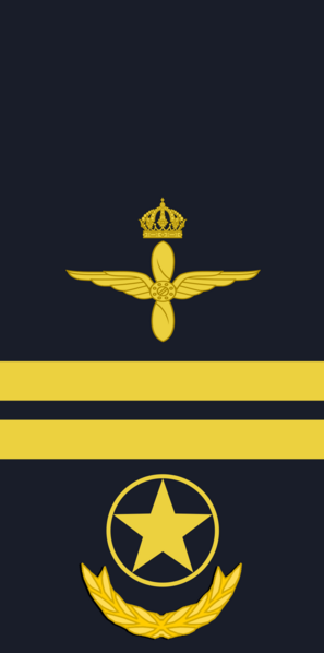 File:Sweden-AirForce-OR-7b (2024).png