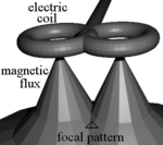 TMS focal field .png