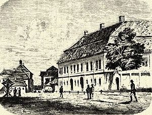 1802: Események, Az év témái, Születések