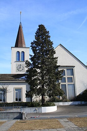 A cikk szemléltető képe Paul Lavenex