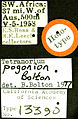 Bersyon han thumbnail han 15:59, 18 Oktubre 2009