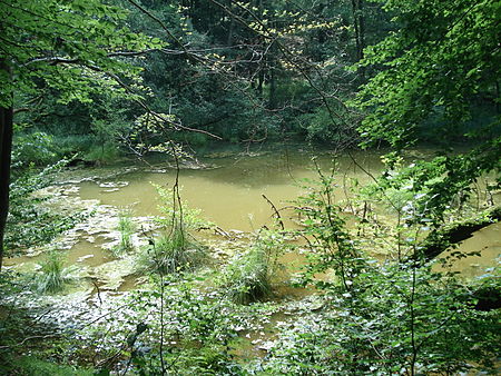 Teufelsloch Osterode