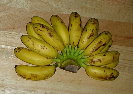 "Egg bananas" from Kamphaeng Phet