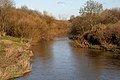 The River Tyne at Haddington - geograph.org.uk - 1202028.jpg