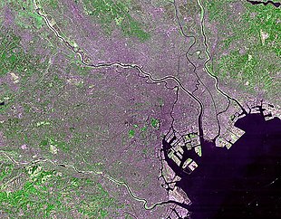La città dal satellite: delle diverse chiazze verdi al centro la maggiore è quella del palazzo imperiale; a sud il fiume Tama separa Tokyo dalla prefettura di Kanagawa