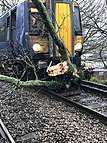 Arbre bloquant une ligne de chemin de fer en Angleterre le 9 février.