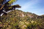 Miniatura para Parque nacional Nino Konis Santana