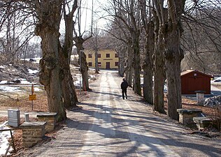 Vällingevägens allé vid Vällinge.