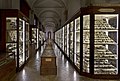 Museo Chierici di Paletnologia
