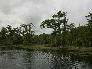 Wakulla Springs, Florida