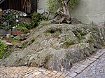 WaldmünchenPfarrgasse6 Geotope 1.JPG