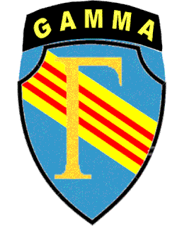 Project GAMMA Military unit