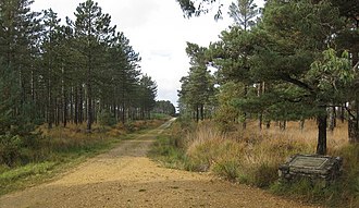 Parsons Pleaser Memorial on Decoy Heath Wareham Forest Walk - Decoy Heath - geograph.org.uk - 1550389.jpg