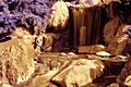 Waterfall and Stream in Infrared.jpg