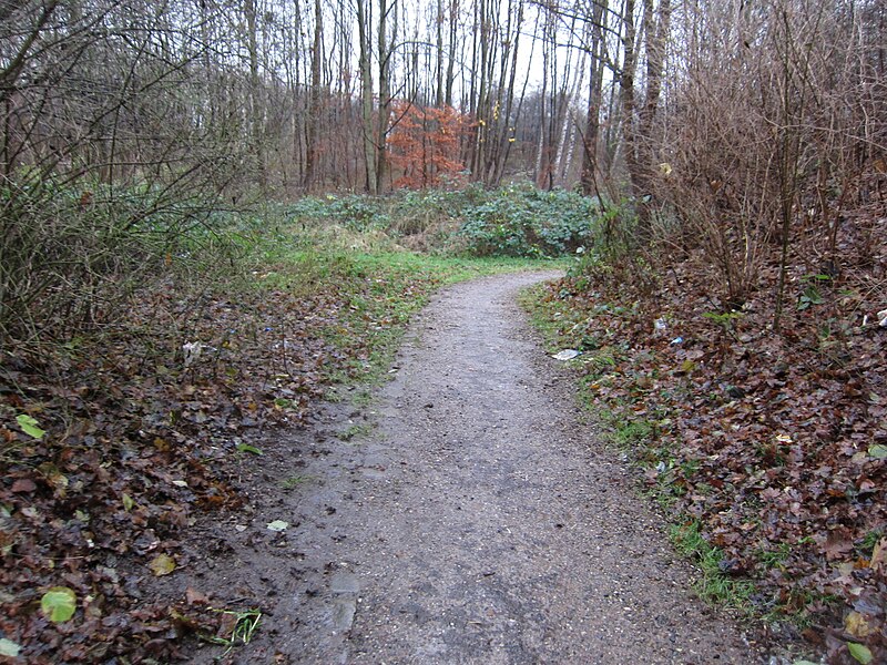 File:Weg zur Immelmannstraße in Kiel-Holtenau.jpg