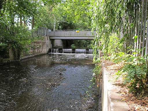 Weir on the River Crane - geograph.org.uk - 1982934