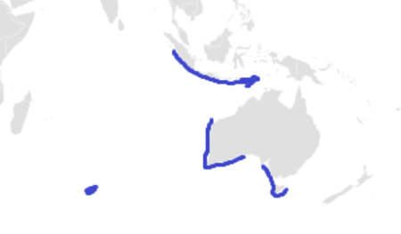 Western Gulper Shark Range.png