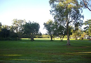 <span class="mw-page-title-main">White Rock, Queensland (Cairns Region)</span> Suburb of Cairns, Queensland, Australia