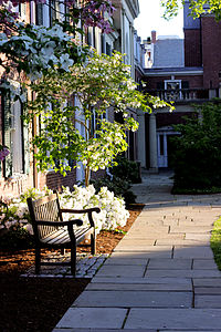 Pierson courtyard in spring Yale University Pierson Courtyard.jpg