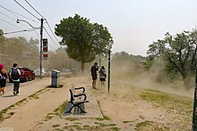 Dust from dry ground, Riverdale Park, Toronto (Mini) Desert storm in Toronto (52960497755).jpg