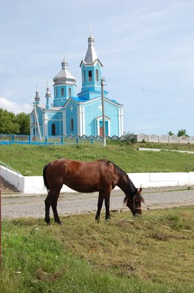 Image illustrative de l’article Cheval en Ukraine