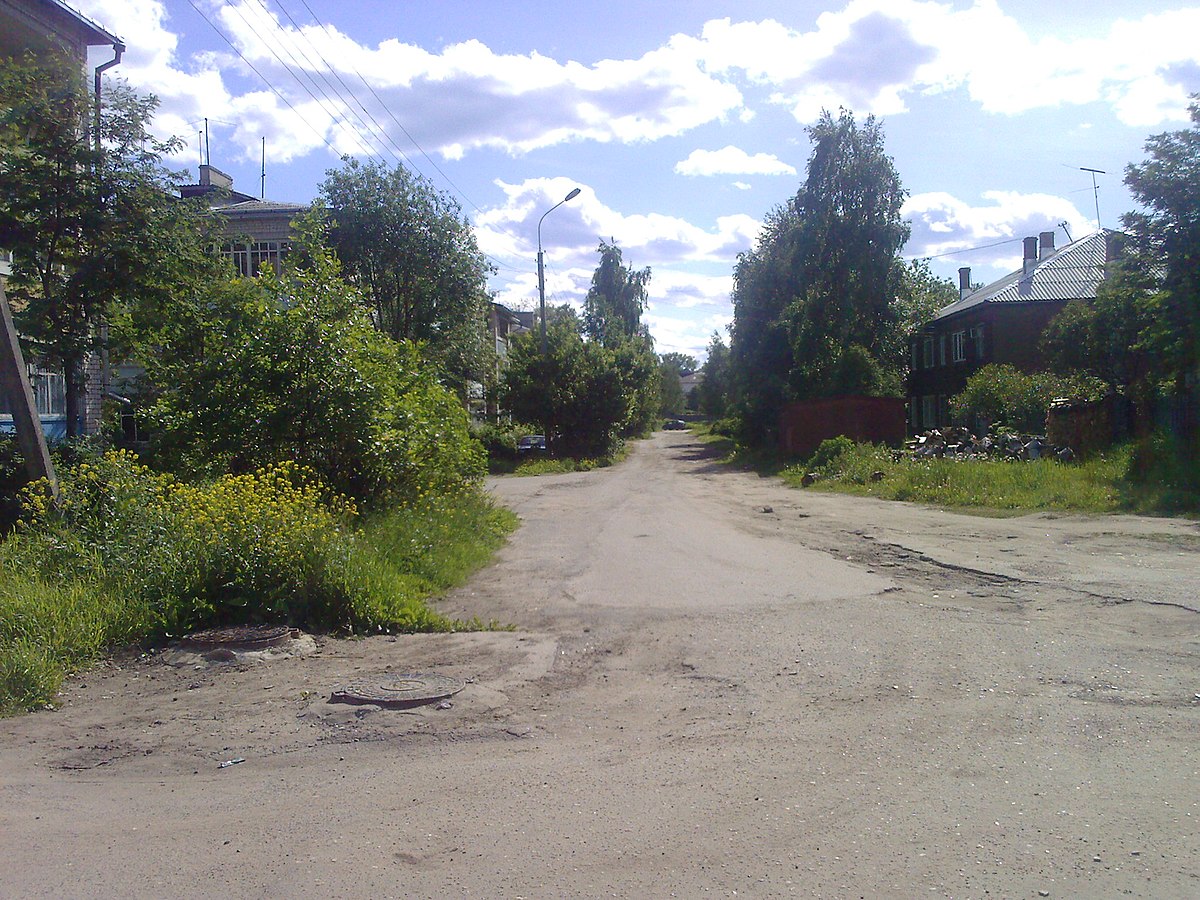 Товарищеский переулок (Великий Устюг) — Википедия