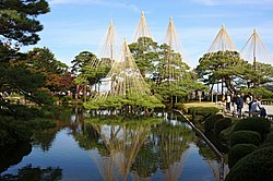 Kenroku-en Landscape Garden in Kanazawa City, Ishikawa Prefecture. The pine trees are covered by the yukitsuri, preventing them from falling in winter when it snows heavily