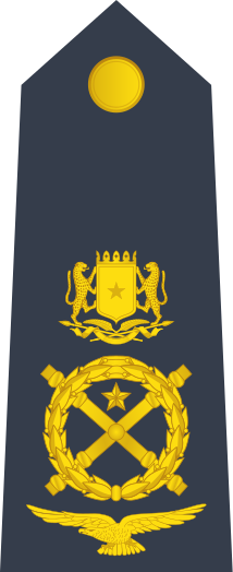 File:15-Somali Air Force-MG.svg
