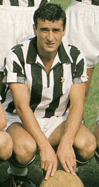 <span class="mw-page-title-main">Adolfo Gori</span> Italian footballer and manager
