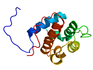 <span class="mw-page-title-main">Calponin</span> Calcium binding protein