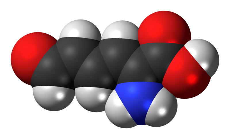 File:2-Aminomuconic-semialdehyde-3D-spacefill.png