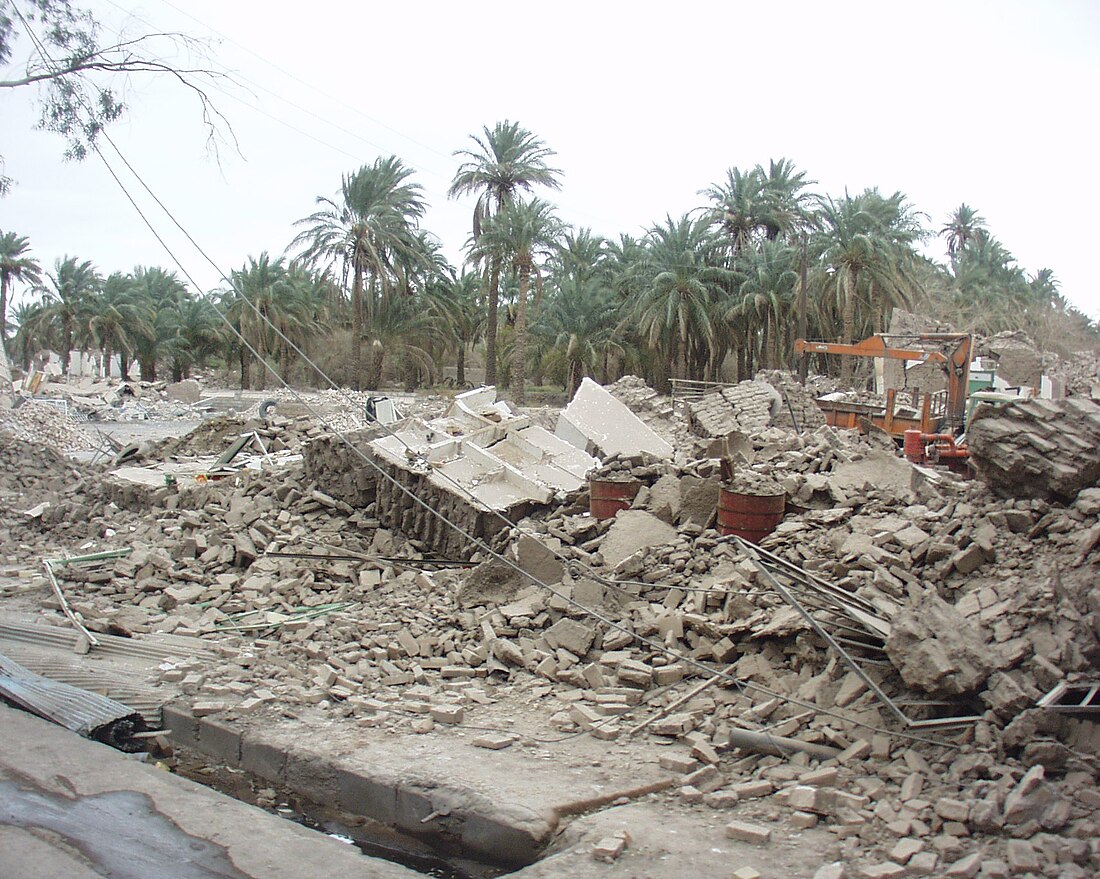 2003 Bam earthquake