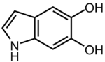 5,6-dihydroxyindol.png