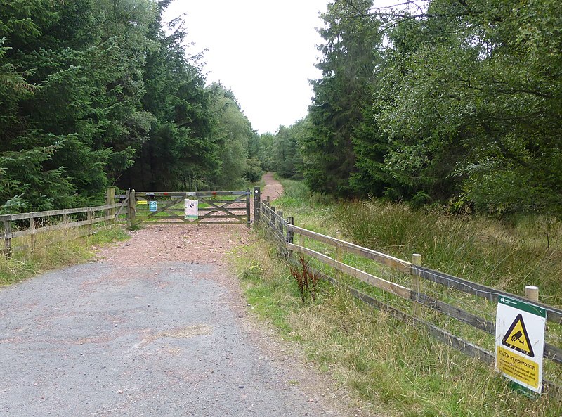 File:Access to Coe Crags Wood - geograph.org.uk - 4131571.jpg