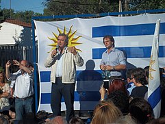 Luis Lacalle Pou: Biografía, Trayectoria política, Candidaturas departamentales