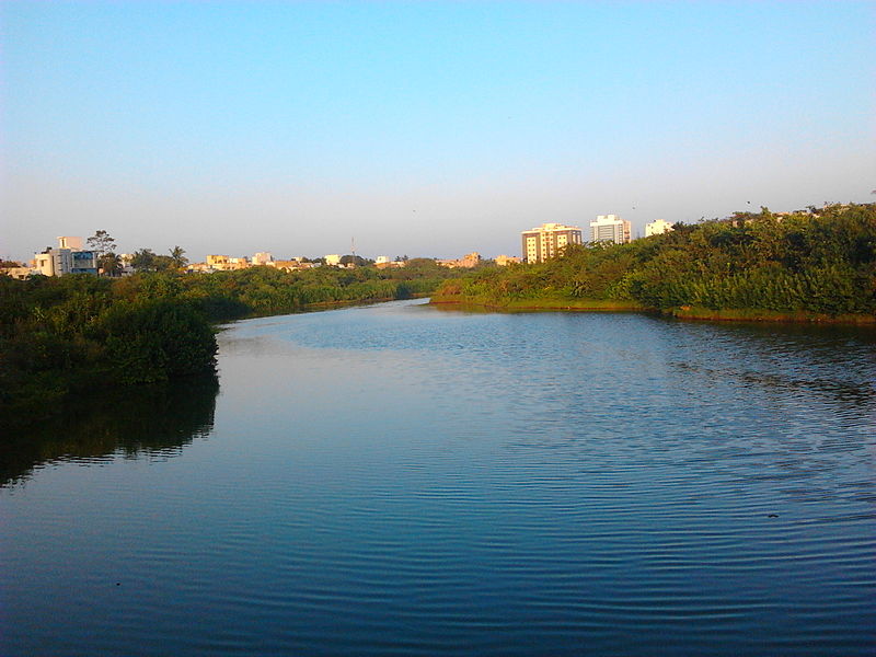 File:Adyar Poonga's waterbody as seen from Karpagam Bridge, MRC Nagar3.jpg