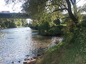 Neckar: Name, Geographie, Flussgeschichte