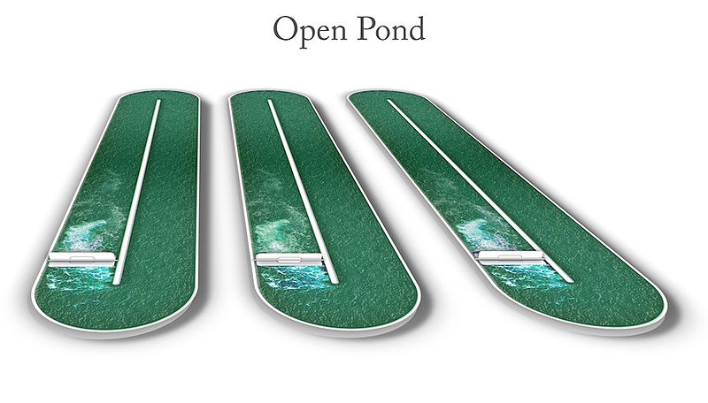 File:Algal open pond design.jpg